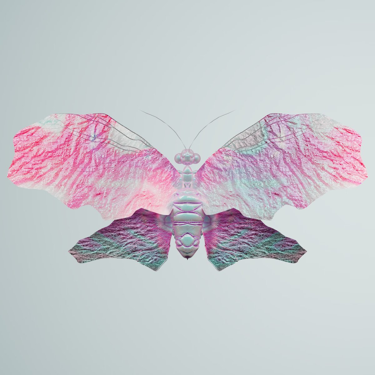 You are changing. Notice how your body becomes stronger, your colors more vibrant

Your cocoon disappears, but you don’t need it any more. You are ready to fly🦋 

CHRY:NATURE 🧬