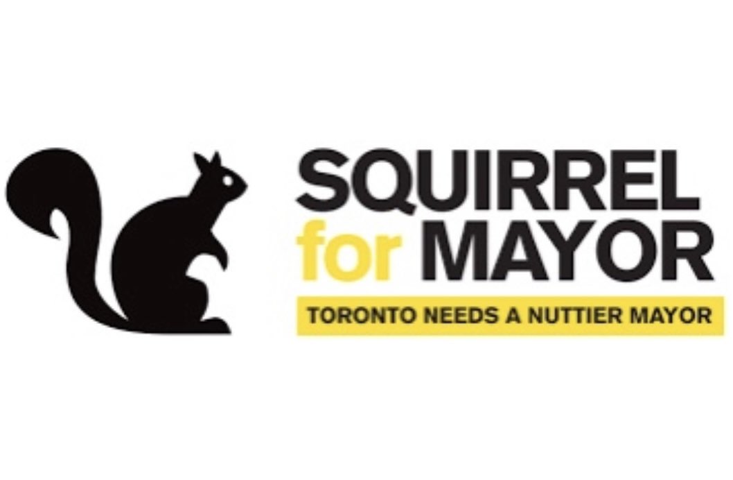 Ratatosk4's tweet photo. So, @HippySquirrel, how is the #VoteSquirrel campaign going? 🗳️🐿 https://t.co/Z2BuQkWGT4