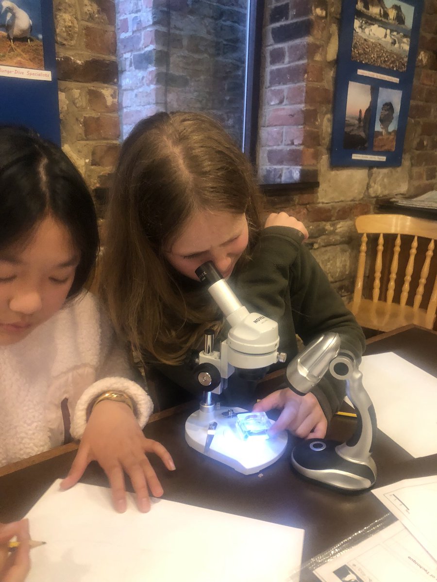 GodstoweTrips's tweet photo. Lab time this evening with microscopes. https://t.co/sLvV9EEcuB