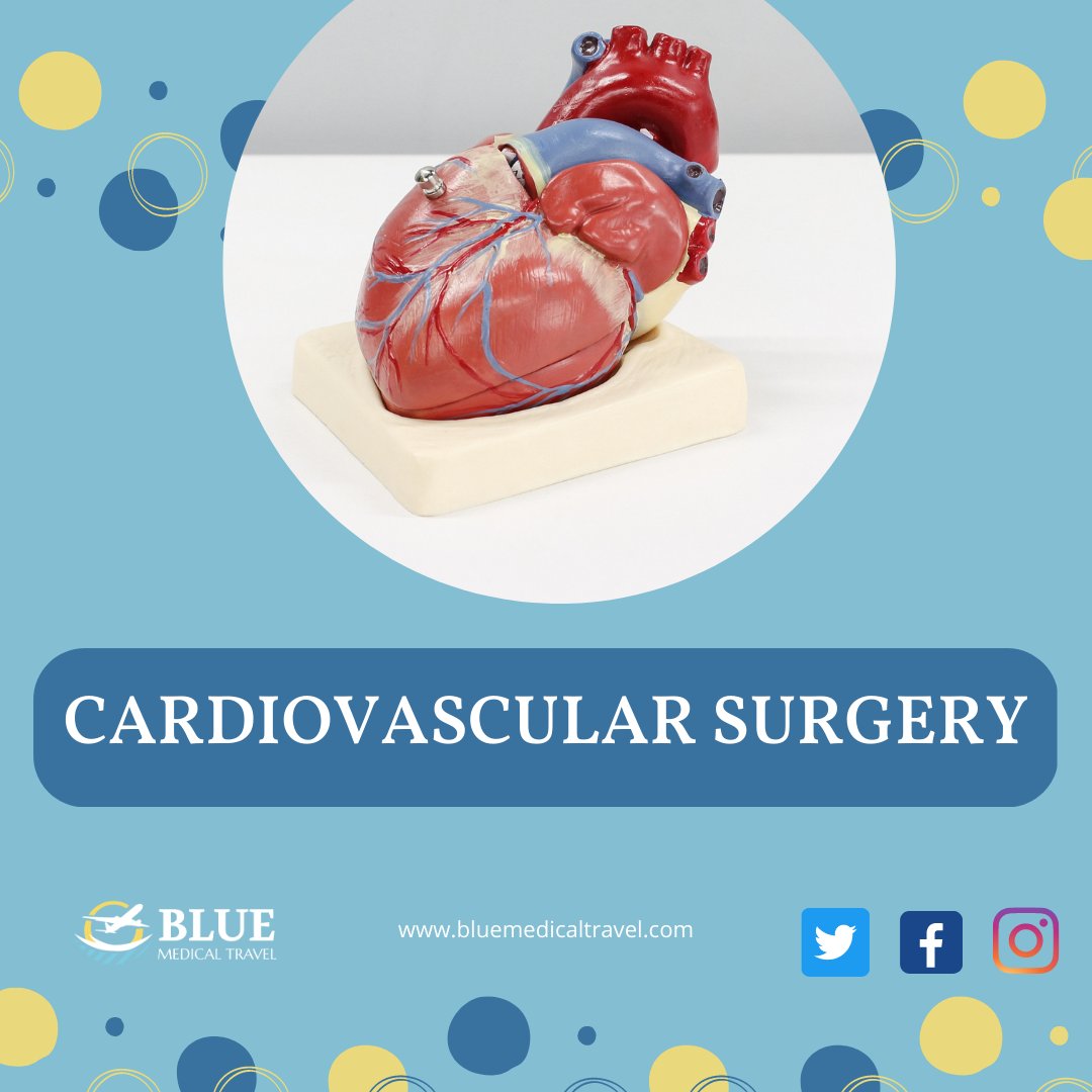 BlueMedicalTra1's tweet photo. #Cardiovascularsurgey in #Spain  is highly advanced and offers world-class treatment options for patients with #HeartDisease . Spanish hospitals have state-of-the-art equipment and highly trained surgeons who specialize in cardiovascular surgery. 
#bluemedicaltravel #travelagency https://t.co/0A0sqmJnZO