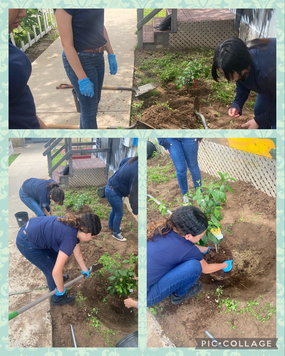ramirezanal's tweet photo. @IandGCenter #environmentalresponsability #selfawareness #planting #WeAreIandG @gutiexfer @AnthonyTonyHar3 https://t.co/8A3i1szcZv
