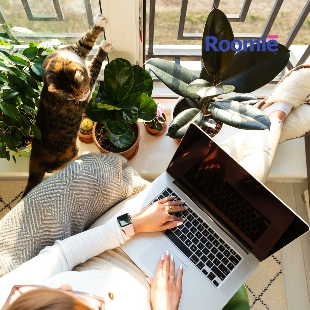 Roomie_Tec's tweet photo. #RoomieTip Say goodbye to pet hair on your upholstery with these steps! Use your handheld attachment to vacuum, spray with an anti-static spray, brush with a microfiber cloth, vacuum again, and finish with a sticky lint roller. https://t.co/8VgGTYKw1R