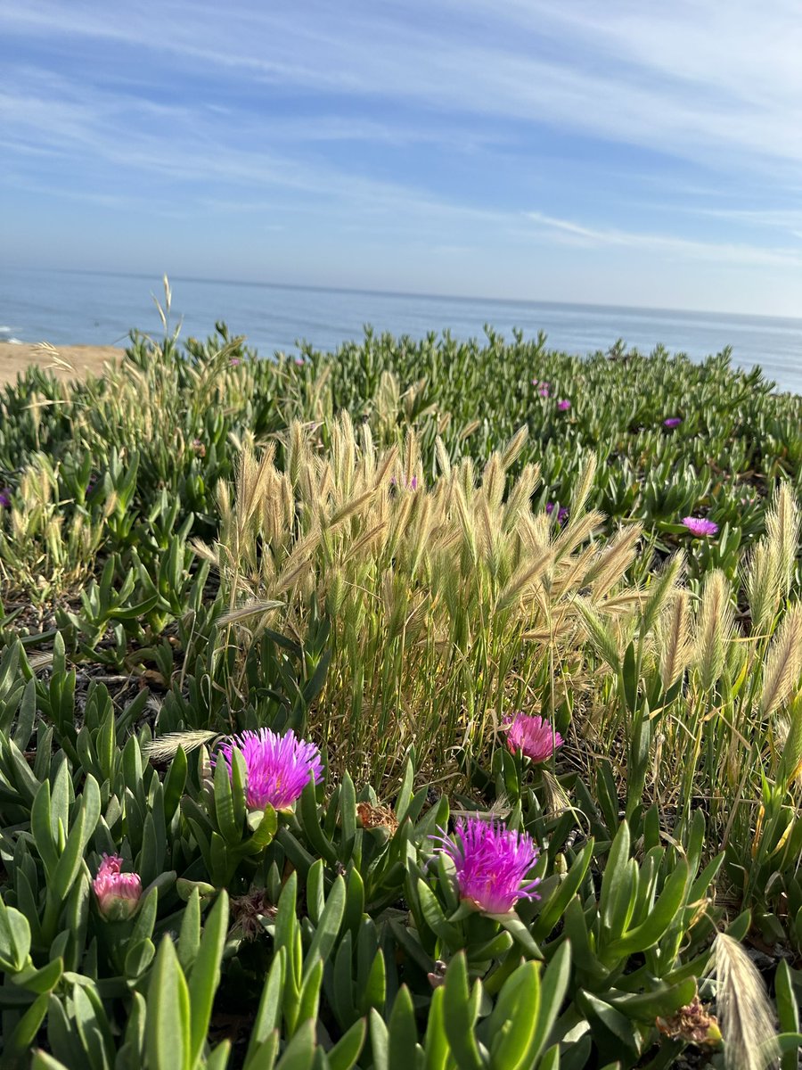 🌸 🌊🌤️
#EarthMonth