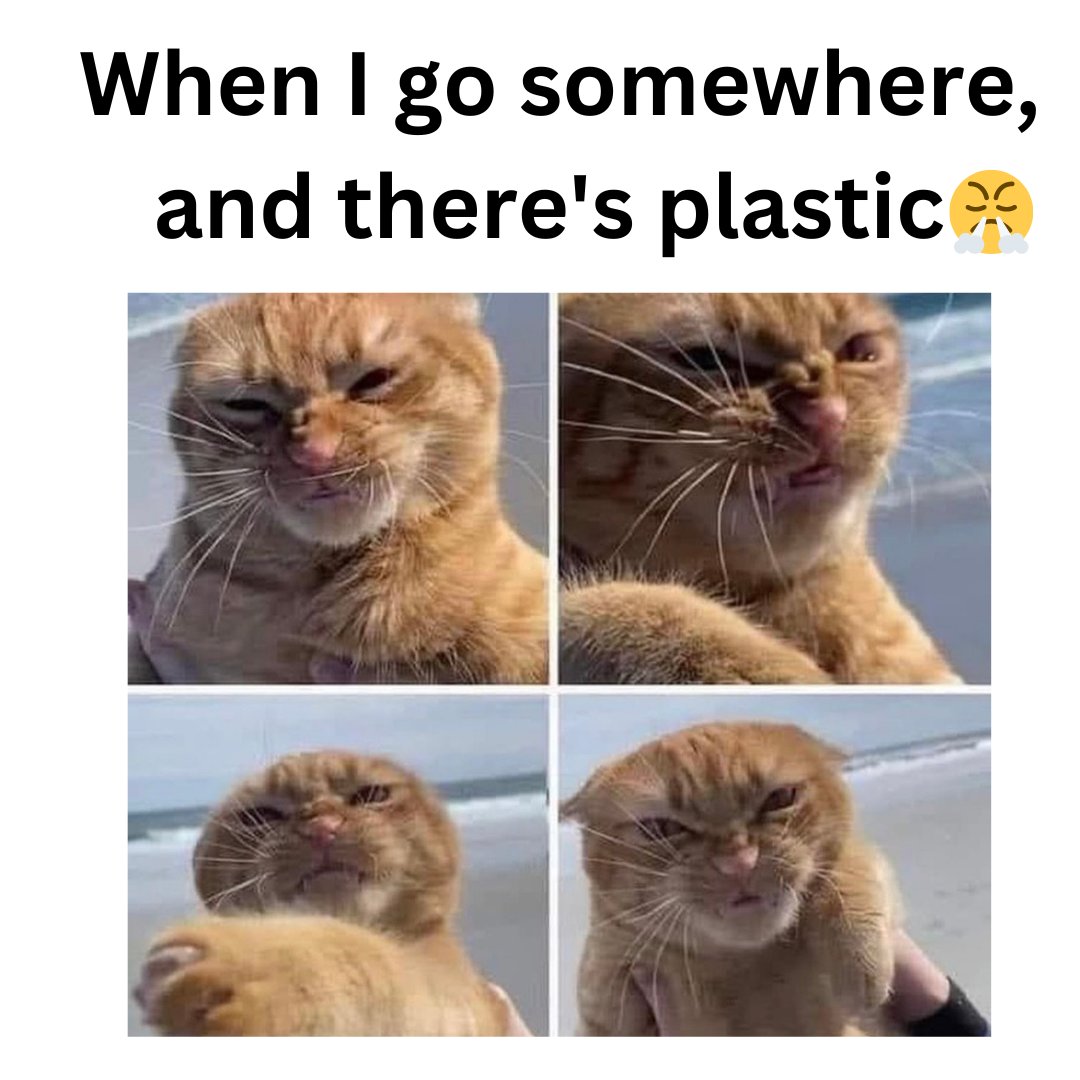 EcoPrints_'s tweet photo. Let's all take a moment to think about our plastic consumption. Every day, we use plastic products that end up in landfills or worse, our oceans. Let's make a conscious effort to reduce our plastic use by bringing our own reusable bags, water bottles, and containers. #Plasticfr https://t.co/nFETzJiE8M