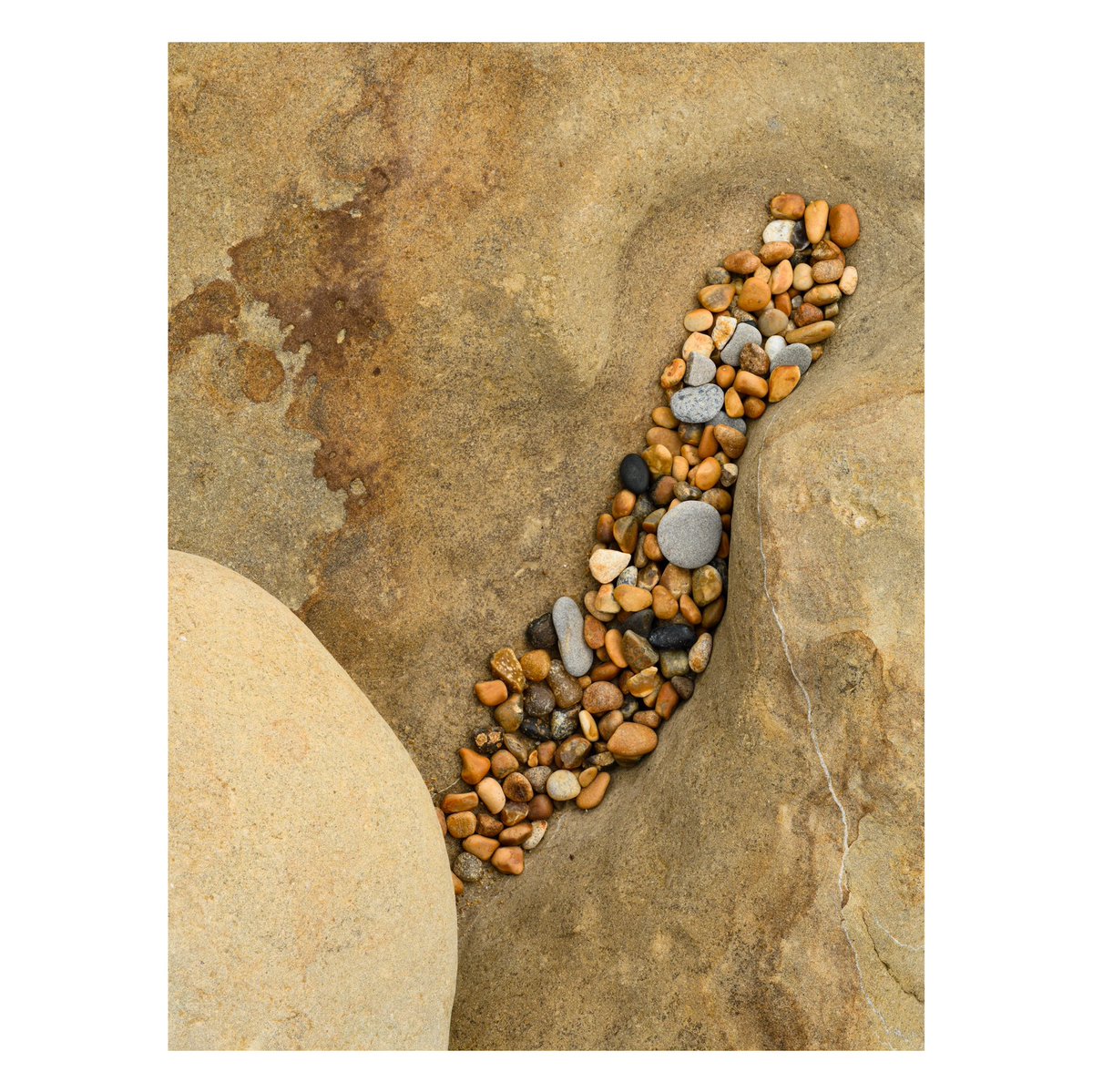 Sam Gregory tweet media