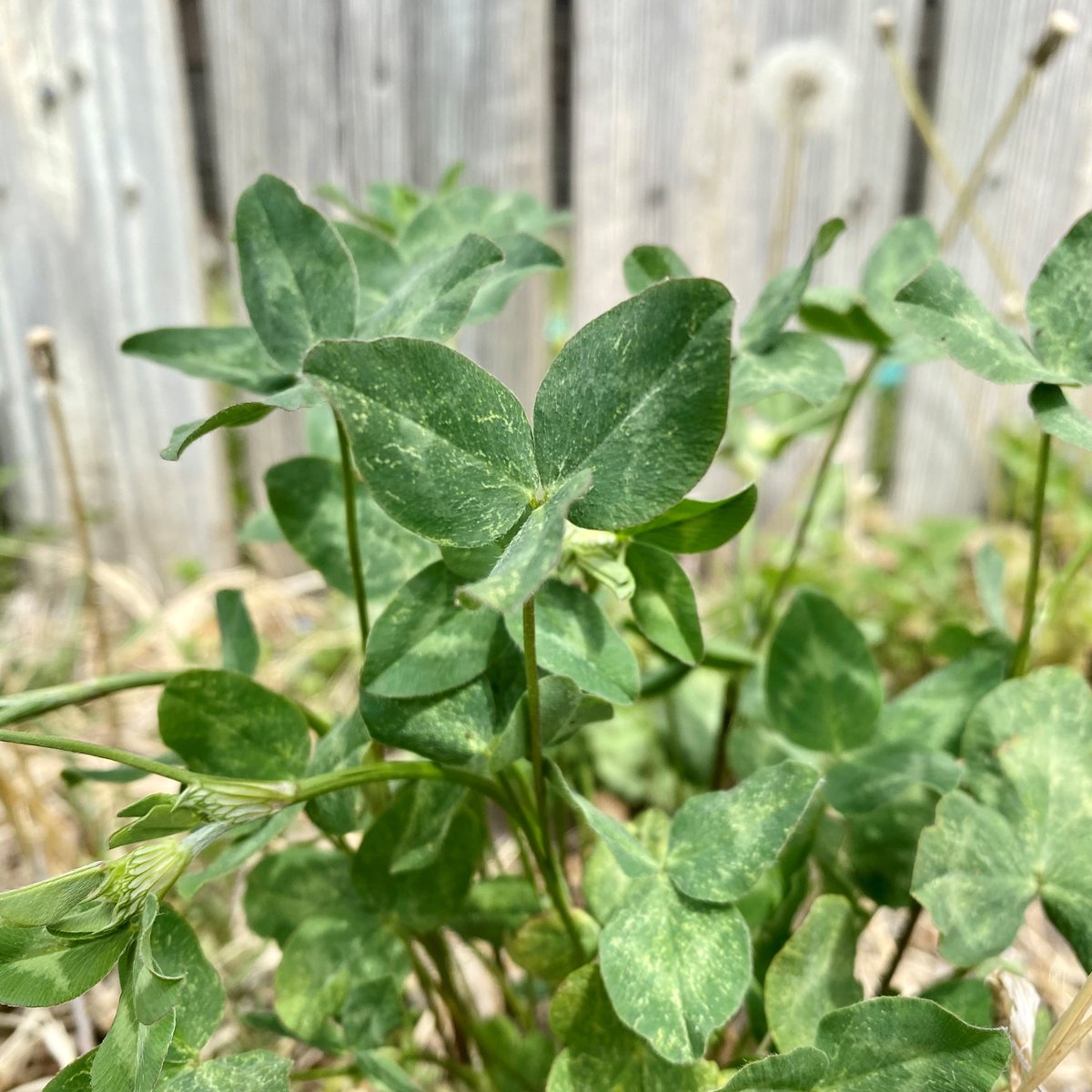 Check out the latest issue of Creative Connections. conta.cc/41Z1WMK