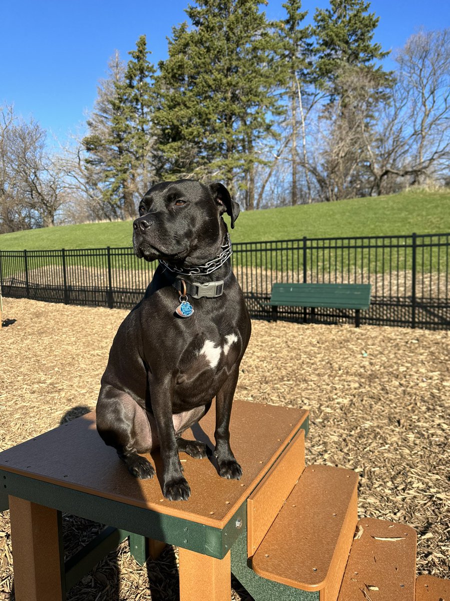 My handsome boy 🥰