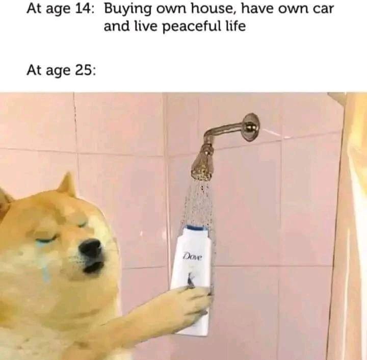 Sed lyp.. instagr.am/p/Crgi7bnv7Oy/