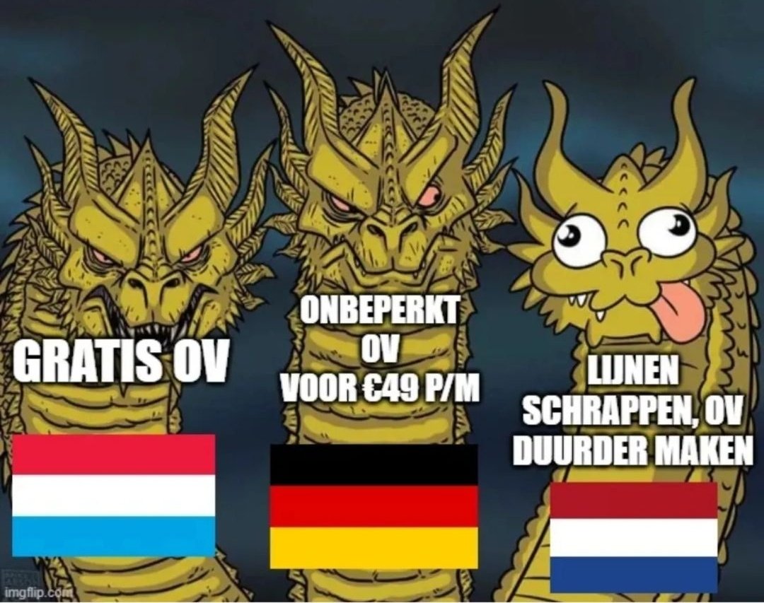 Anne Fleur Dekker tweet media