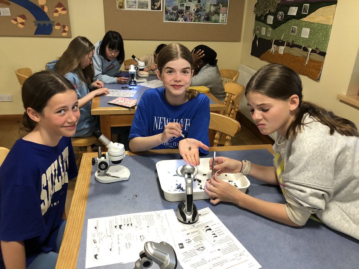 GodstoweTrips's tweet photo. Mixed levels of enthusiasm for touching owl pellets. Not sure Poppy was feeling the love 😂 however Michelle and Kiana were definitely not squeamish! https://t.co/YZaQahGVhi