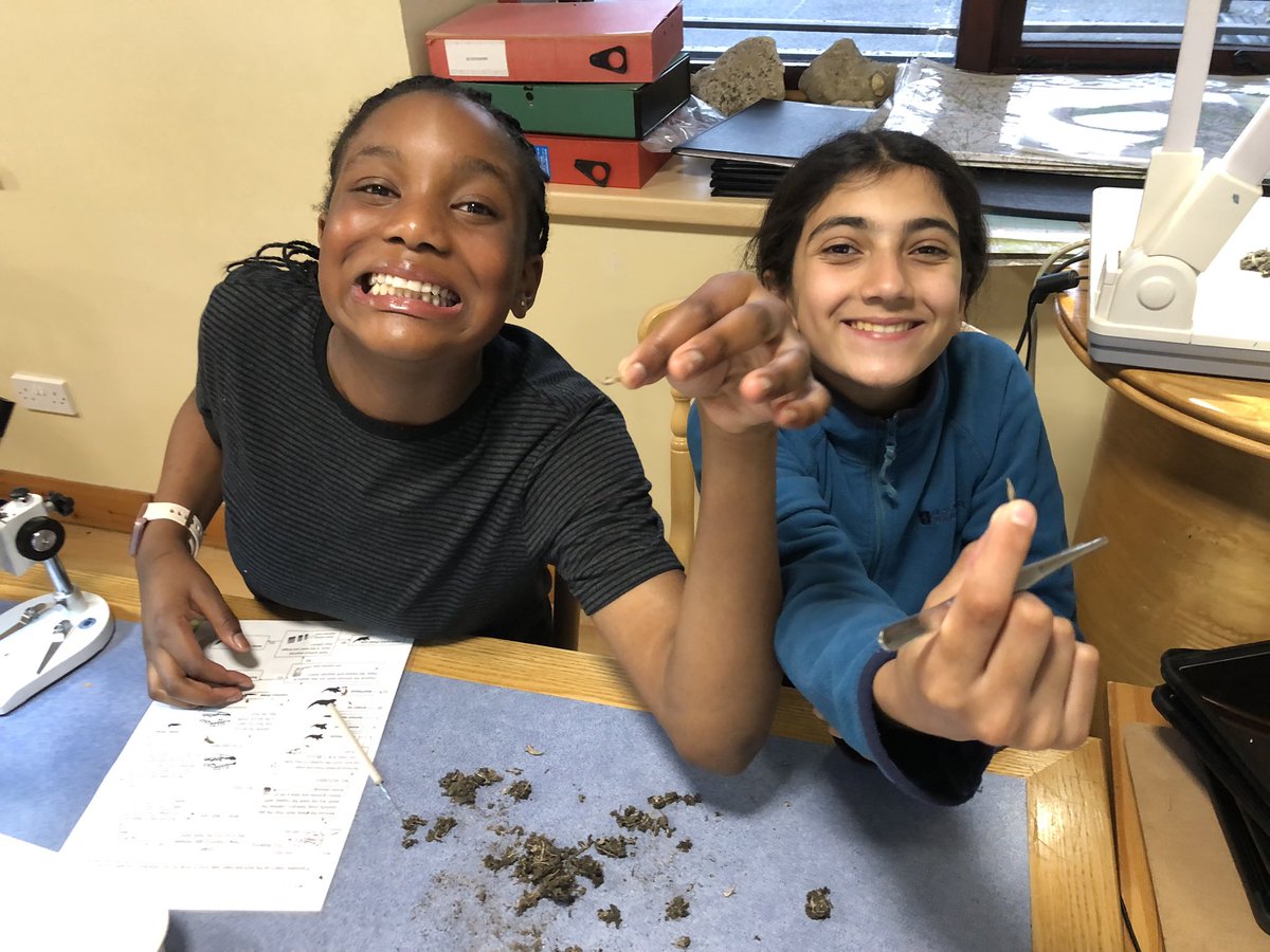 GodstoweTrips's tweet photo. Mixed levels of enthusiasm for touching owl pellets. Not sure Poppy was feeling the love 😂 however Michelle and Kiana were definitely not squeamish! https://t.co/YZaQahGVhi