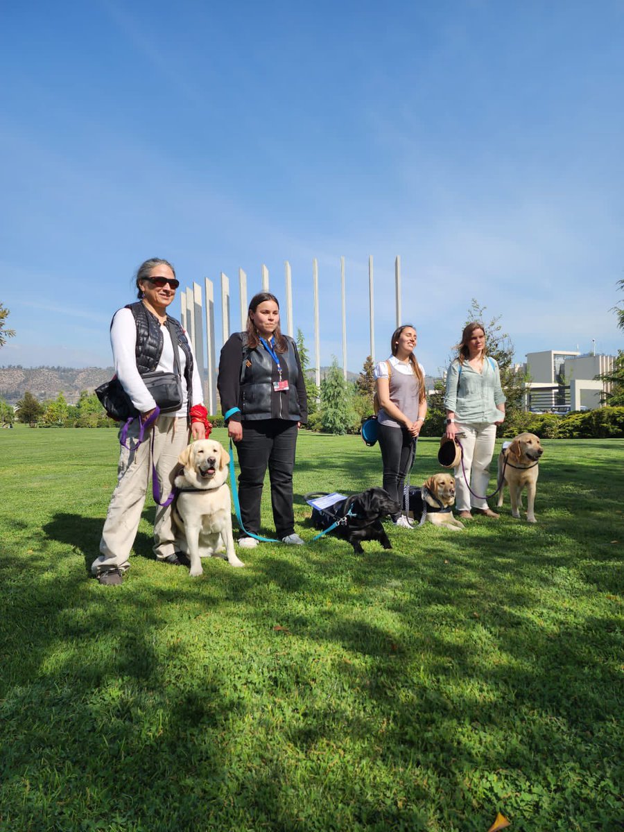 mfho's tweet photo. Hoy miércoles 26 de abril, a las 21:00 hrs de Chile estaremos conversando sobre la experiencia de vivir con un perro guía. En la cuenta @ottoelperroguia de instagram. 
Queremos celebrar con ustedes el día internacional del perro guía 🦮 
Todo lo que siempre quisiste saber! https://t.co/eXqAI8gAj3