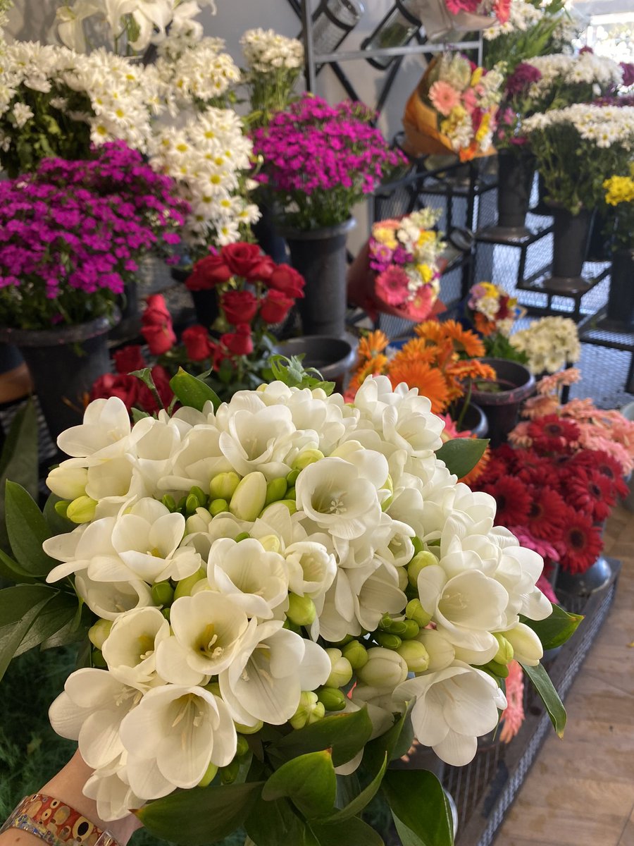 mavimacaron's tweet photo. Hayatımdaki en istikrarlı alışkanlık❣️ Baktıkça bakasım geliyor, bıkmadan usanmadan. Hayran oluyorum güzelliklerine. https://t.co/If1OXvkrb0
