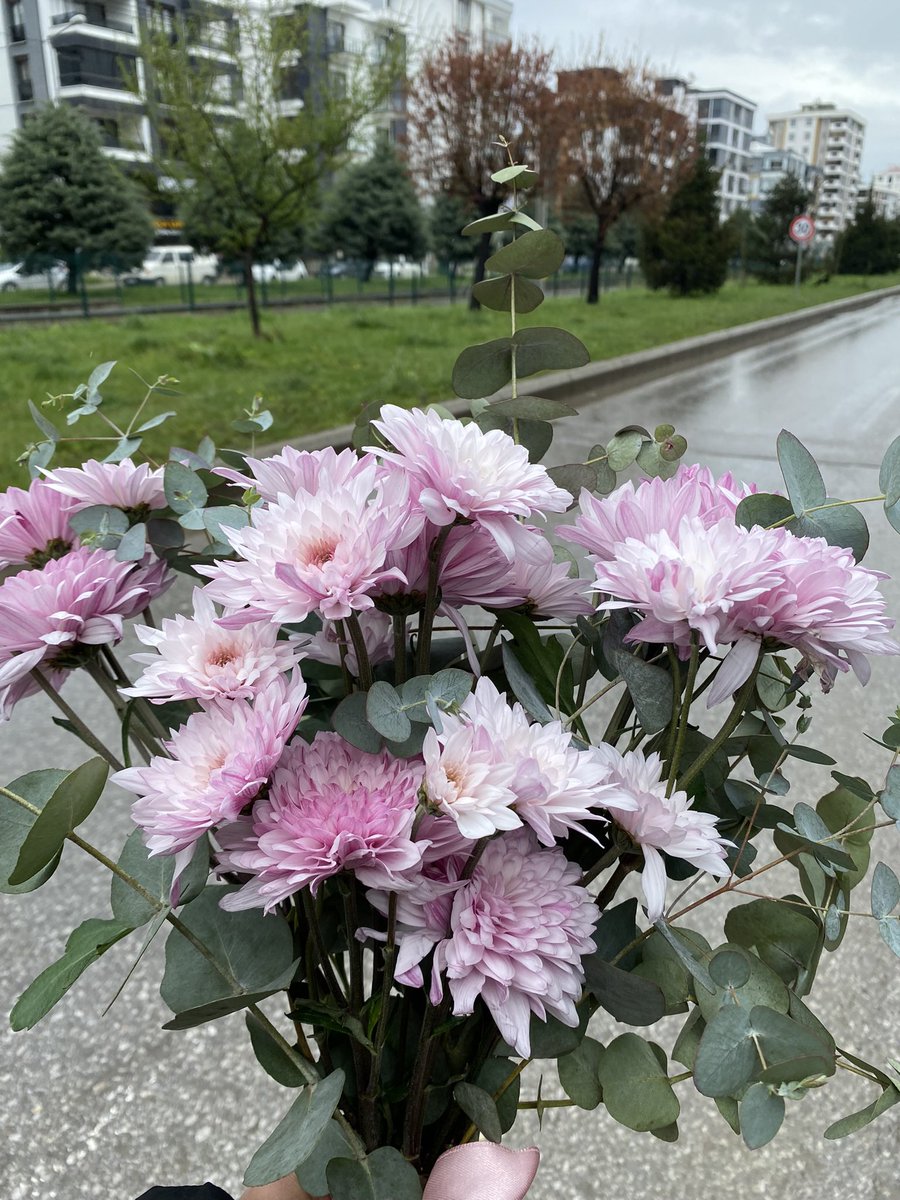 mavimacaron's tweet photo. Hayatımdaki en istikrarlı alışkanlık❣️ Baktıkça bakasım geliyor, bıkmadan usanmadan. Hayran oluyorum güzelliklerine. https://t.co/If1OXvkrb0