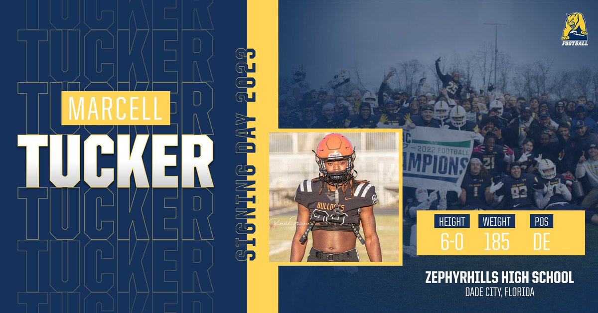 #LIONCHA23RS #DEFENDTheMount