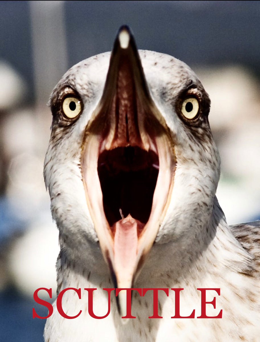 ALLISDISNEY's tweet photo. WE ARE DISNEY AND WE ARE ALSO PLEASED TO REVEAL OUR BRAND-NEW NEW CHARACTER POSTER FOR “SCUTTLE THE SEAGULL,” VOICED BY THE VERSATILE AWKWAFINA. https://t.co/mOWzQr9b2o