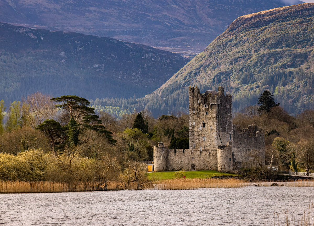 Ross Castle on the bank of Lough Leane in Killarney Ireland. 

Photo was taken with a Canon R5 with a 70-200 lens.

#rosscastle #killarney #killarneynationalpark #canon