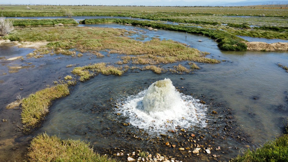 WaterForLA's tweet photo. 💧 It's #WaterWednesday! We're taking you to the #AntelopeValley, where poppies are blooming 🌼, and aquifers are recharging! 💧 Every day, 60 million gallons of water are being stored underground by #AVEastKernWater for @LACountyWaterworks customers and other AV residents. https://t.co/1a3176qQU1