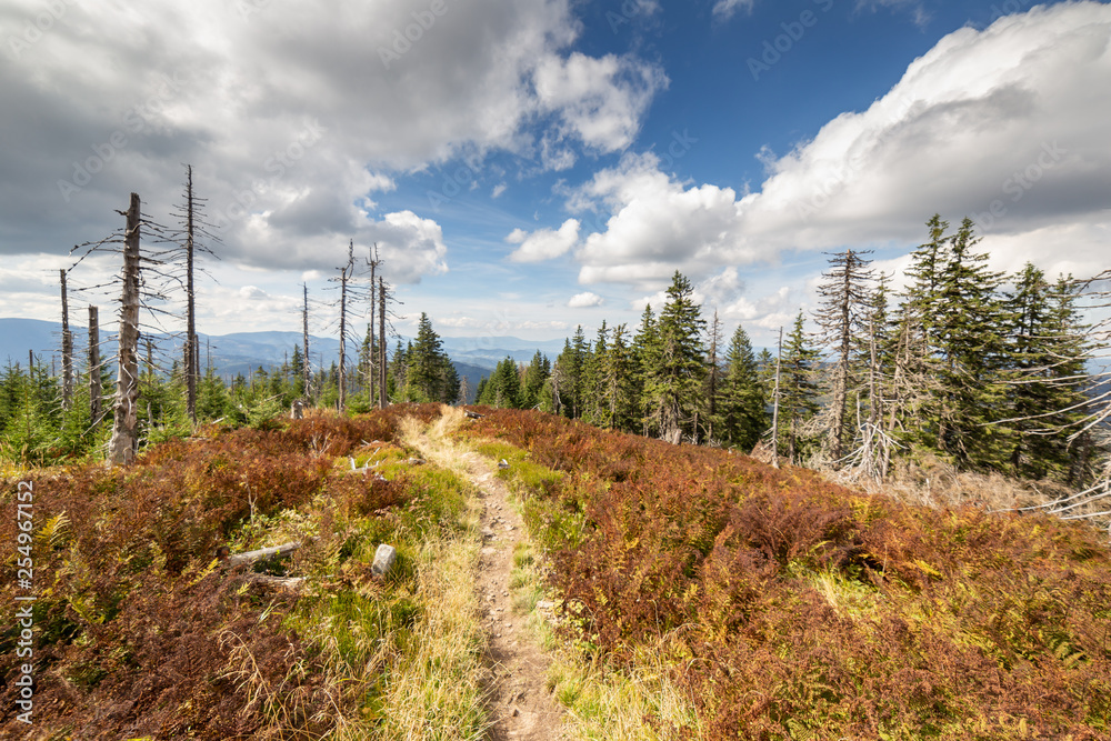 AlexWhite____'s tweet photo. Hiking mountain trail through dead forest, Beskid Mountains in Poland wide angle landscape
#photo #photography #photographer #polska #polskafotografia #fotografia #forograf #mountain #mountains #landscape #landscapephotography #landscapephoto
https://t.co/URANpY4Ibq https://t.co/yTi8X7owKp