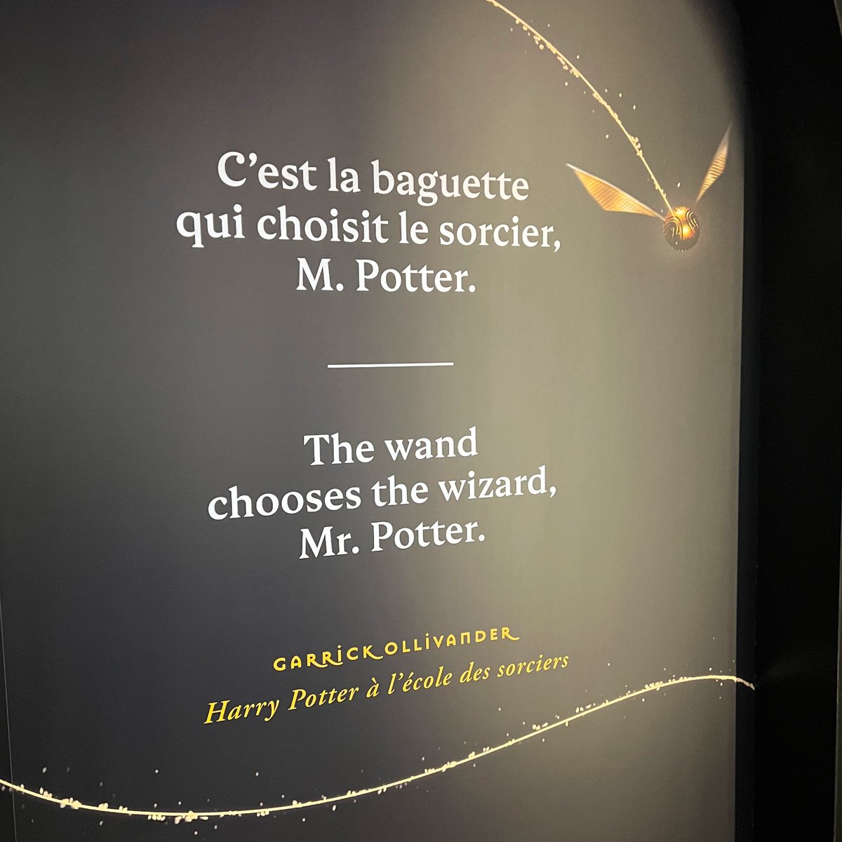 So excited that the Harry Potter Exhibition is now open in Paris!
