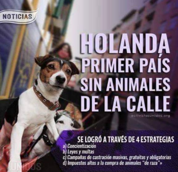 vikkitta's tweet photo. Amigo @FRAENKELE buena información https://t.co/P0K082DgoJ