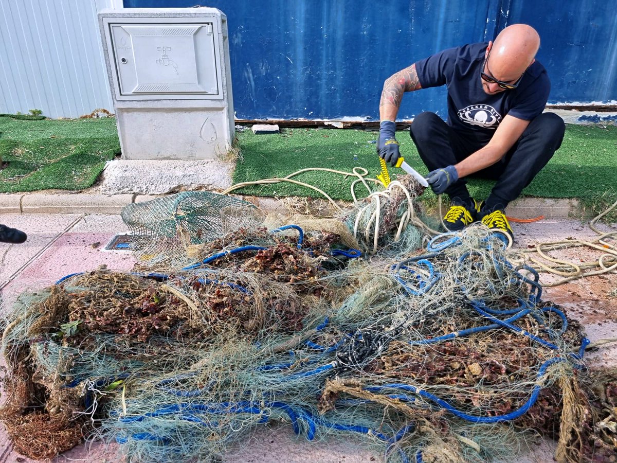 Healthy Seas tweet media