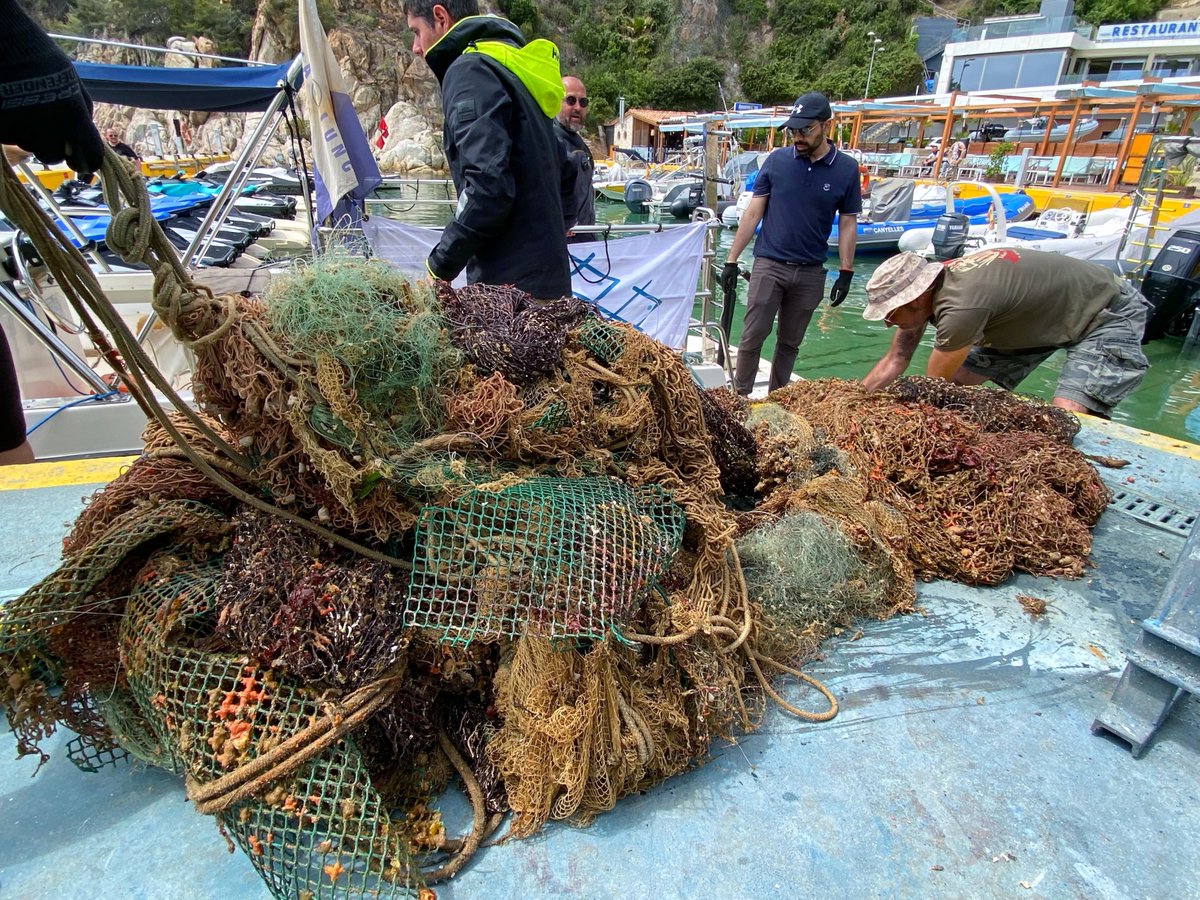 Healthy Seas tweet media