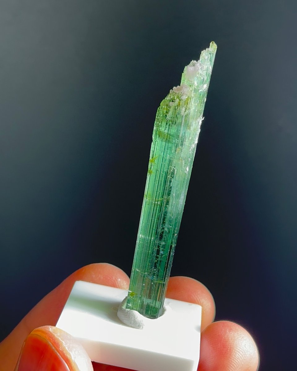 grpgems's tweet photo. "The beauty of minerals can be found in even the smallest specimens 🌱💎 #mineralspecimens #tinybeauty" https://t.co/Oqu10WB5oy