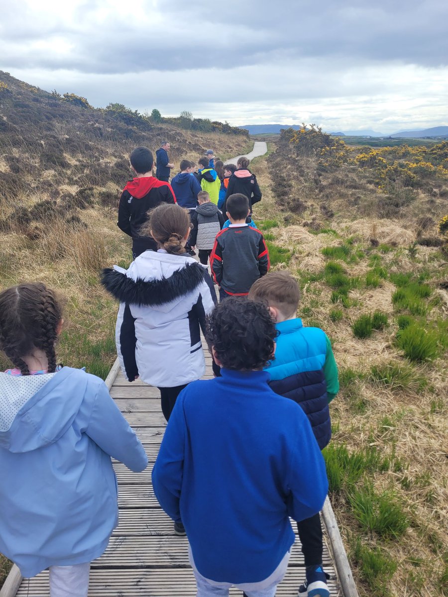 BarnatraSchool's tweet photo. What a fantastic day today for #ActiveSchoolsWeek. We started off with a swim in @MulrannyPark followed by a 2km walk in @WildNephin where we also learned a lot about our environment along the way. Thanks again to our excellent guide Michael!
@ActiveFlag https://t.co/JvBcFKnsZi