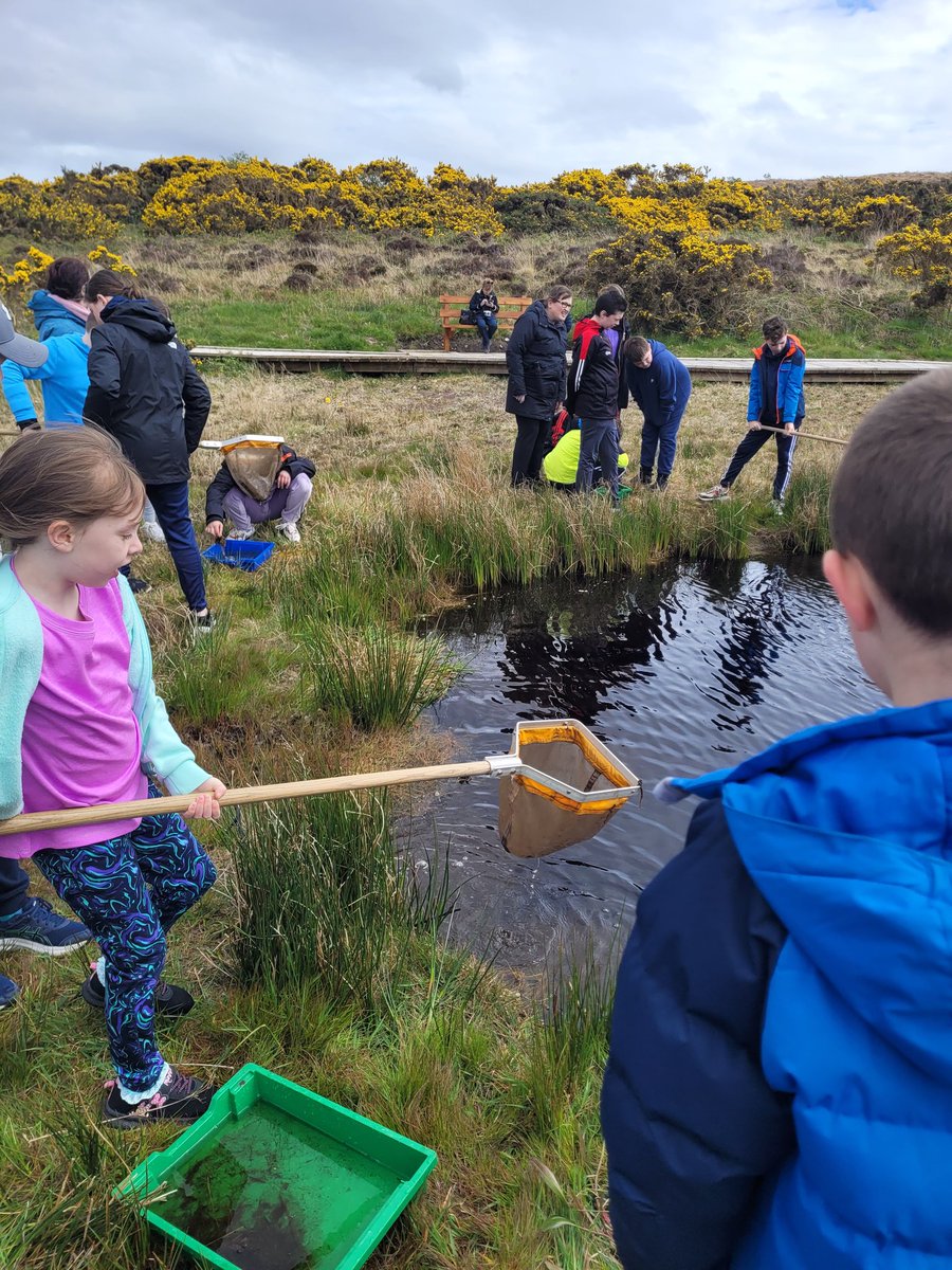 BarnatraSchool's tweet photo. What a fantastic day today for #ActiveSchoolsWeek. We started off with a swim in @MulrannyPark followed by a 2km walk in @WildNephin where we also learned a lot about our environment along the way. Thanks again to our excellent guide Michael!
@ActiveFlag https://t.co/JvBcFKnsZi