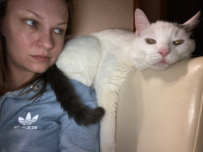 The perpetrator is pretending to be cute 😼 https://t.co/FlcAufnjwm<a href="/tag/myfreecams"class="tags"><span>#myfreecams</span></a>