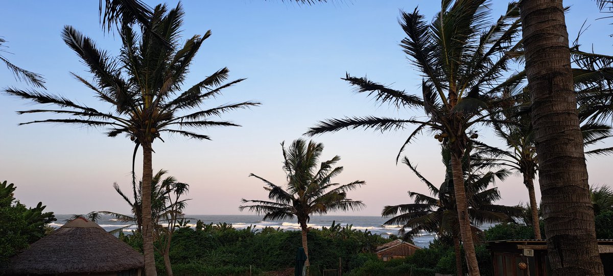 tugela1's tweet photo. Good evening Lynn!! We are currently on holiday at our beach house in South Africa.  This is our garden view at Dusk xx 
Fondest love to you and all the listeners 🥰 https://t.co/ZUOIT7tnwI