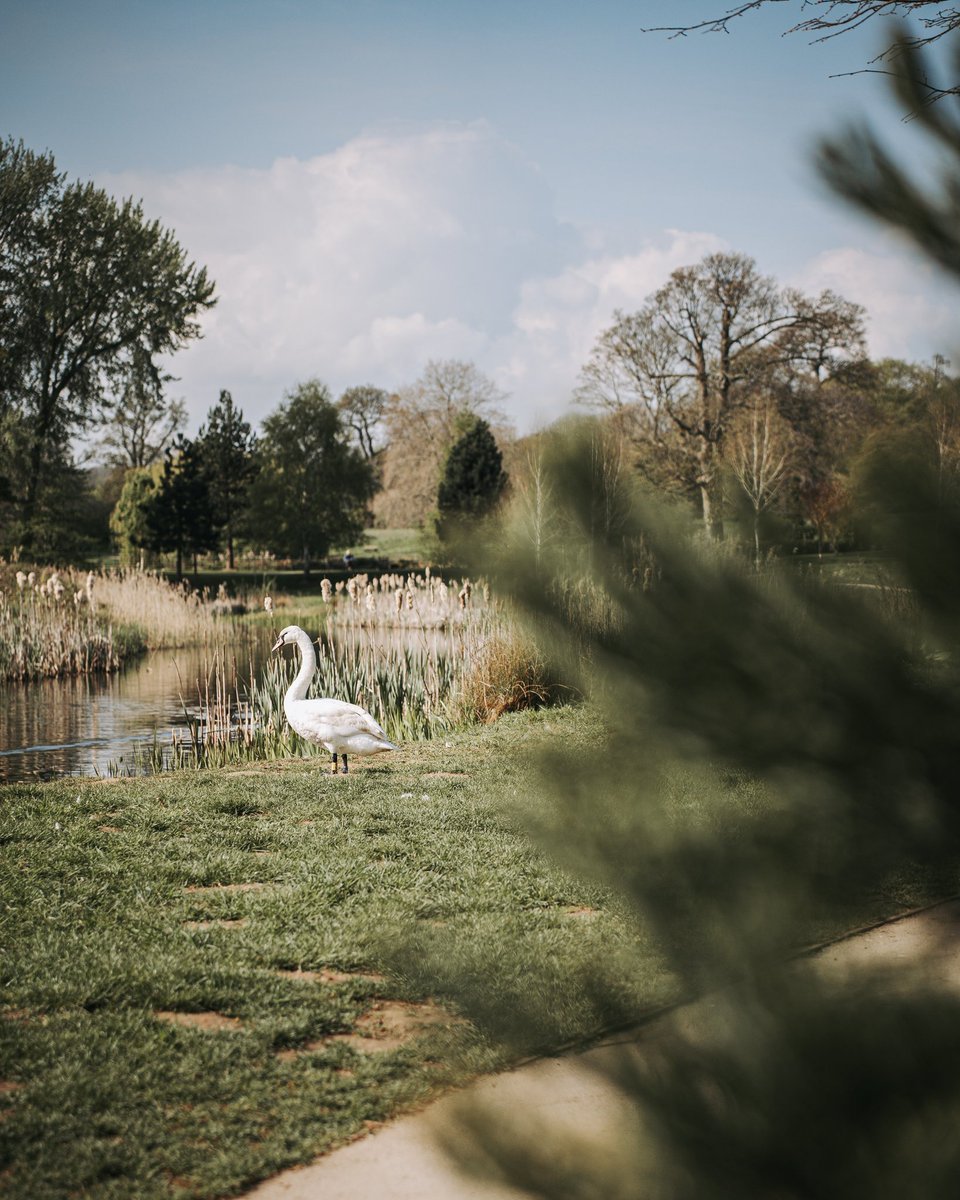 NeagleMedia's tweet photo. A quick snap from this mornings walk at @Cusworth_Hall #photography #photowalk #nature
#playingwiththecamera #peacefulwalks
#doncaster #cusworth #cusworthhall https://t.co/MPL0oyVEcM