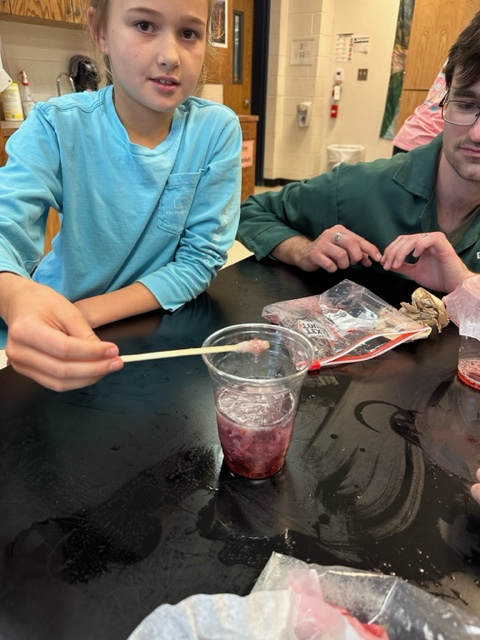 Trakselis's tweet photo. #Traklab celebrated #DNADay23 with outreach to local elementary schools extracting DNA from various fruits! So much fun and energy with these 5th graders. @WoodwayElem #outreach @NSF #Broaderimpacts #futurescientists https://t.co/OvrK5Q5xqp