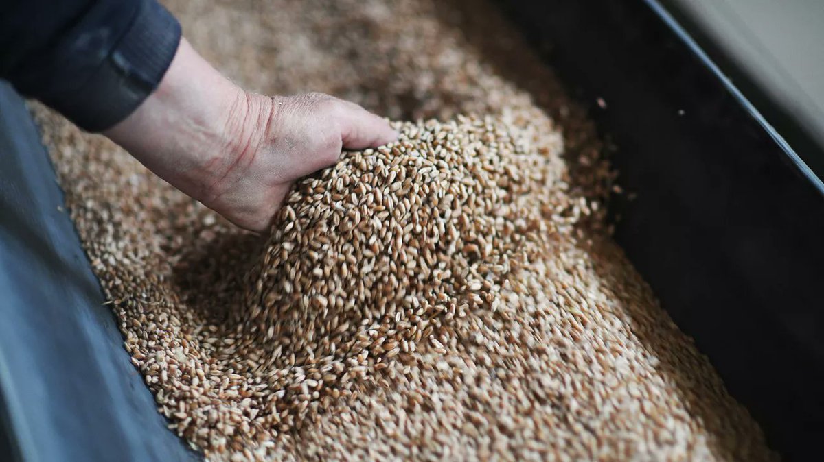 During the year the volume of oil crops and various oil fruits from #Azerbaijan to the Republic of #Tajikistan increased 10 times
The value of export of products amounted to more than 343.8 thousand dollars which is 11 times more than the previous year's figures(31.3 thousand $)
