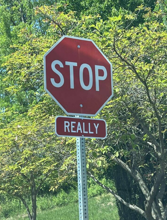 MimicheCorp's tweet photo. Me looking at big SUV's owners and other kinds of stupid drivers these past months https://t.co/JdZnD4TkWn