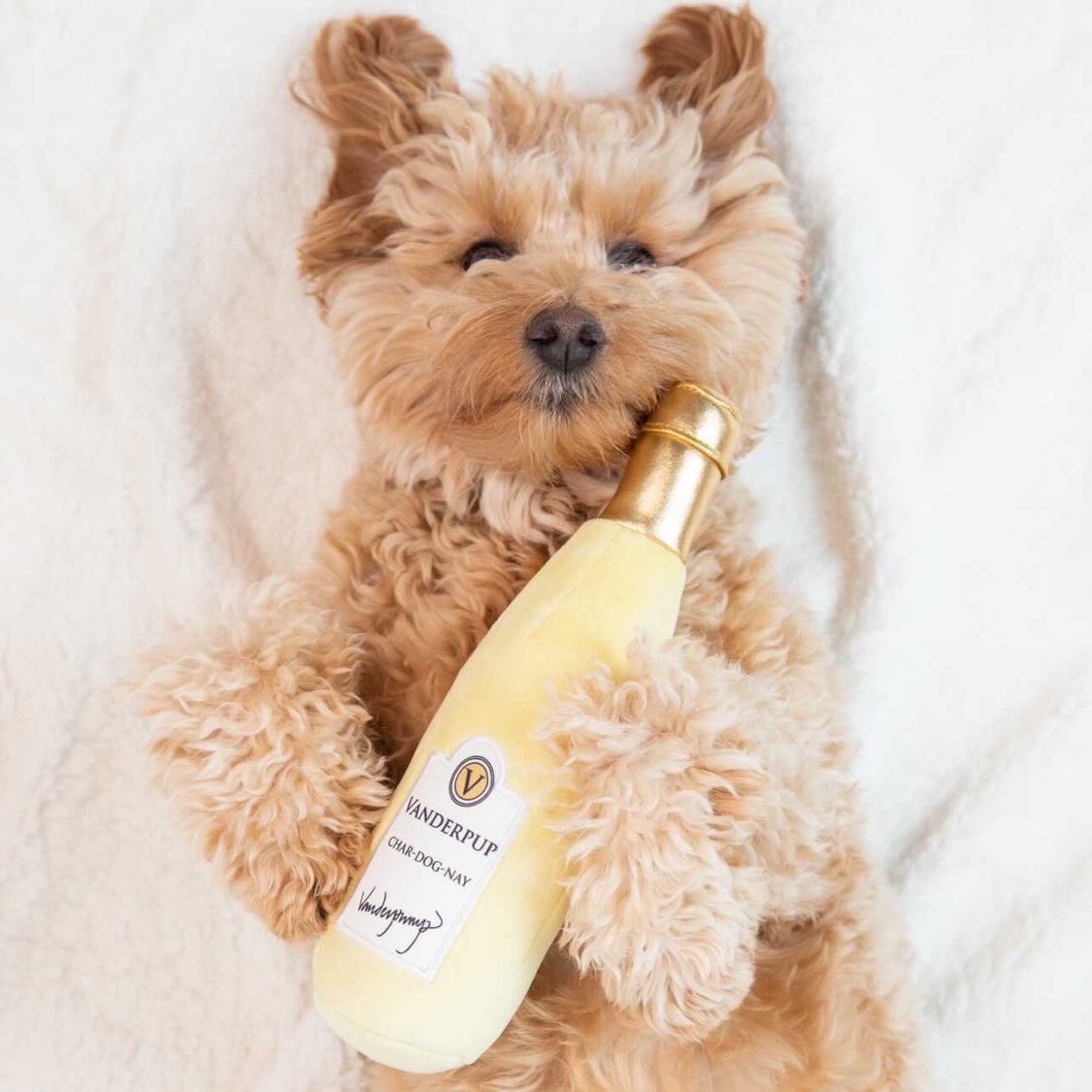 It’s #WineWednesday! 🍷 So why not have your pup cuddle up with our Char-Dog-Nay?! Don’t forget you can get any Plush Toy or Carrier for 30% off! Exclusively at VanderpumpPets.com