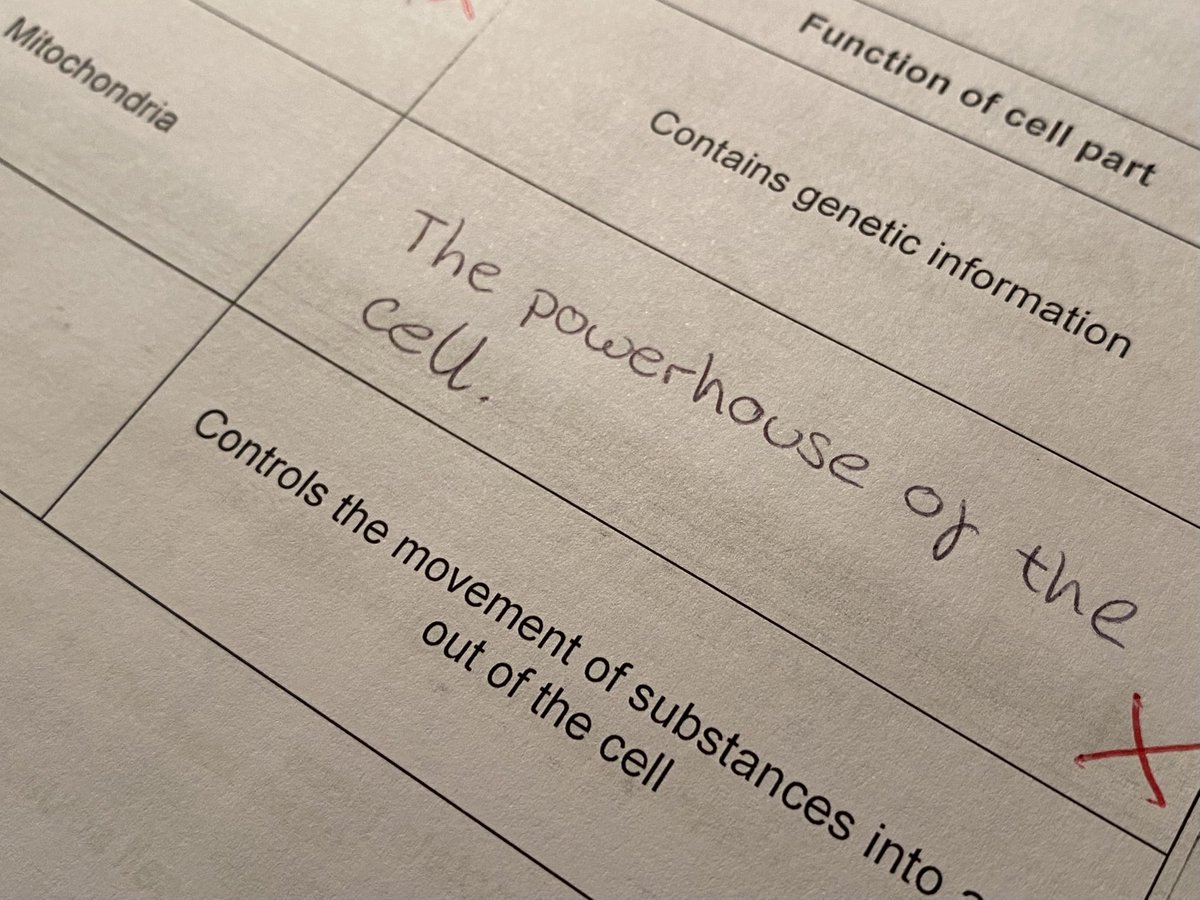 head-in-the-clouds.bsky.social tweet media