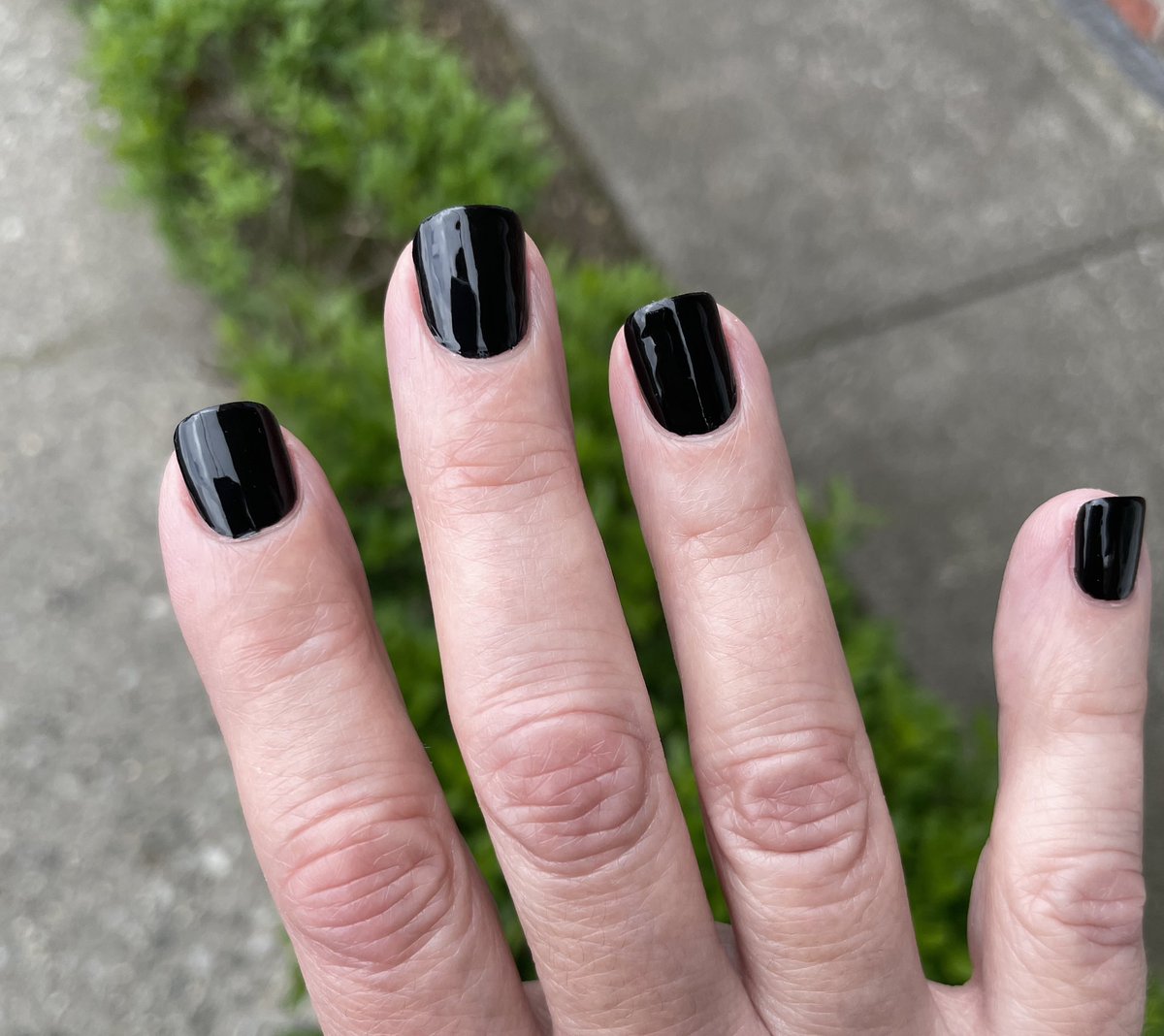 JMLevinton tweet media