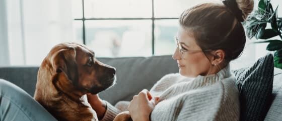 speedycash's tweet image. Check out the Speedy Cash blog post that centers around veterinary costs, how to handle larger than expected bills, and ways to prepare for future costs. We’ve got your back! 🐱 bit.ly/3UFY8xn #SpeedyCash #FinancialRefresh