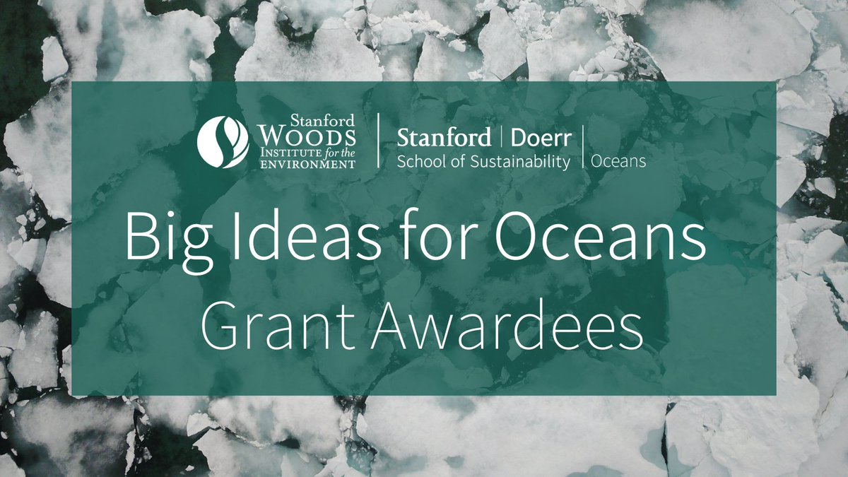 Stanford Woods Institute (@stanfordwoods) on Twitter photo Announcing the Big Ideas for Oceans grants! Jointly managed by <a href="/StanfordWoods/">Stanford Woods Institute</a> & the Oceans Department @StanfordDoerr, these awards enable interdisciplinary teams to address climate change & conserve the ocean.
Learn about the 2023 awardees🧵⤵️: stanford.io/3MQ6Lnk Announcing the Big Ideas for Oceans grants! Jointly managed by <a href="/StanfordWoods/">Stanford Woods Institute</a> & the Oceans Department @StanfordDoerr, these awards enable interdisciplinary teams to address climate change & conserve the ocean.
Learn about the 2023 awardees🧵⤵️: stanford.io/3MQ6Lnk