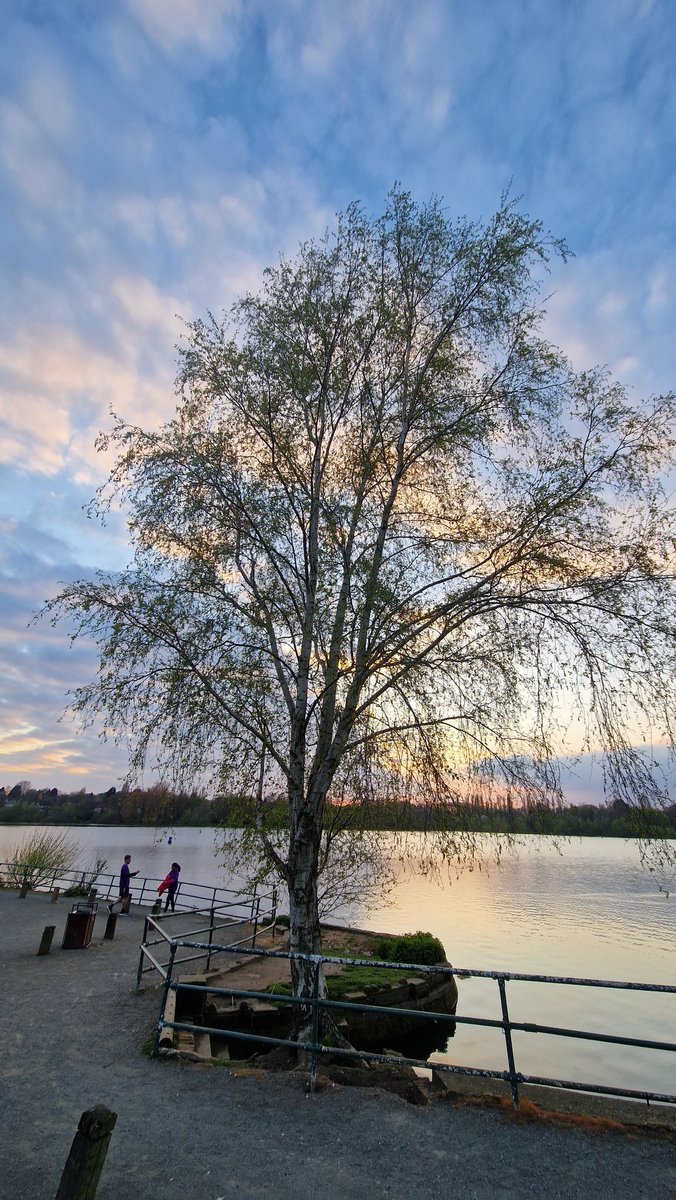 run_taz's tweet photo. Great to be back running!

Join us every Wednesday at 6.45pm meeting at Reservoir Rd entrance to Edgbaston Reservoir B16 9EE. 

 @edgresfriends 
@ERCOBham 
@bigrunproject 
@TAWSociety 
#runbirmingham
#edgbastonreservoirsocialrunninggroup https://t.co/5Clnxg8opK