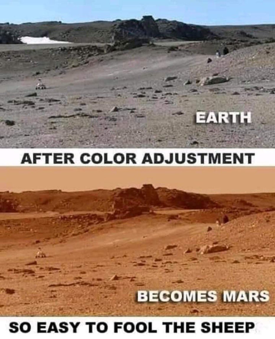 David Wolfe (@davidwolfe) on Twitter photo 