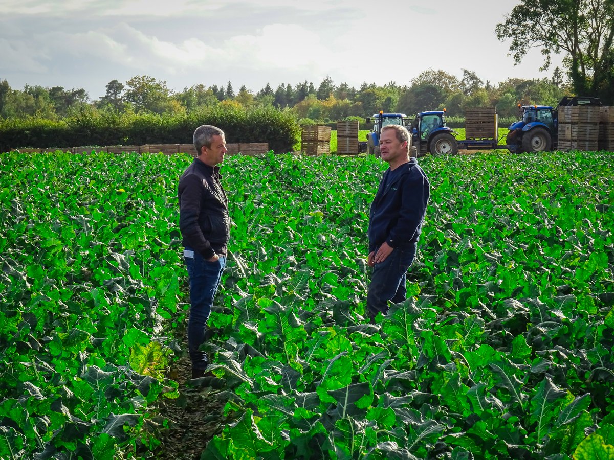 GIY (@giyireland) on Twitter photo <a href="/mickkellygrows/">Mick Kelly</a> asks if growers aren’t supported, what happens next, will there be no Irish veg? “You’ll never miss the water until the well is dry says Paul Brophy – it has to be supported” #FoodMattersTV <a href="/mickkellygrows/">Mick Kelly</a> asks if growers aren’t supported, what happens next, will there be no Irish veg? “You’ll never miss the water until the well is dry says Paul Brophy – it has to be supported” #FoodMattersTV