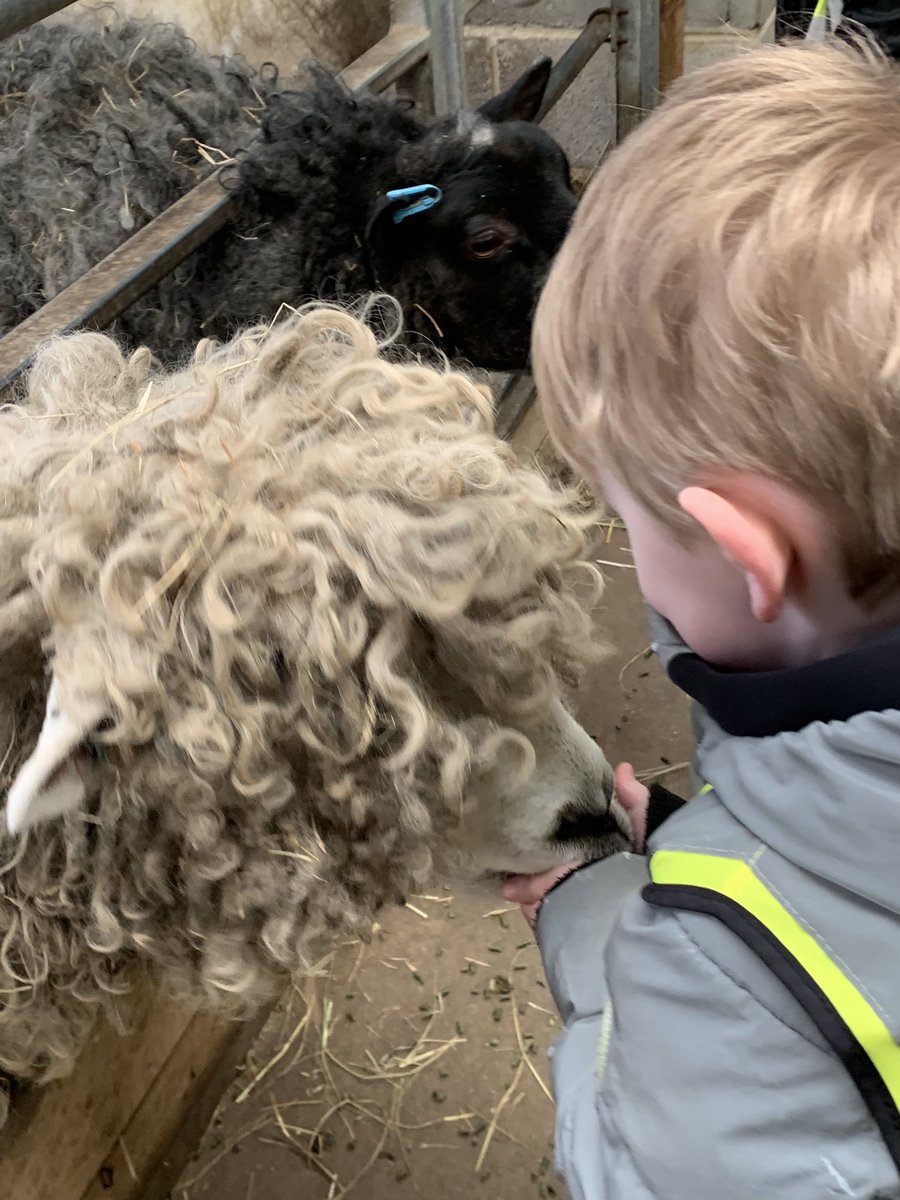 MrsJemson tweet media