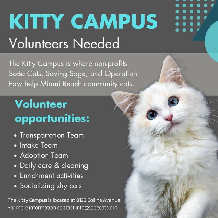 City of Miami Beach tweet media