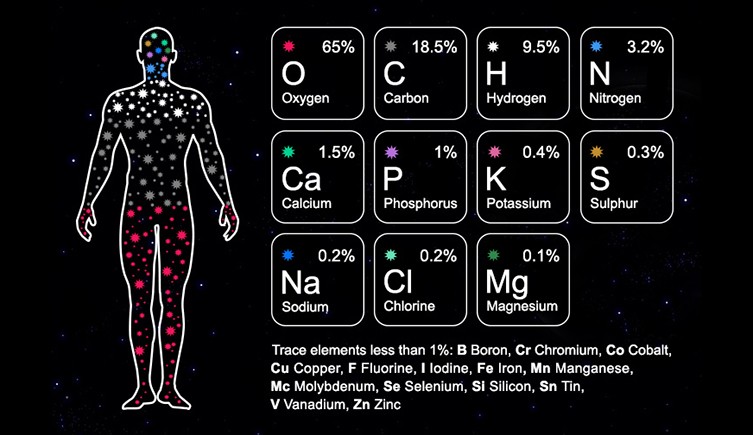 jenasis11's tweet photo. 'It is totally 100% true: nearly all the elements in the human body were made in a star and many have come through several supernovas.'

#micromacro #stars #stardust #weareallconnected https://t.co/iQav16QgtT