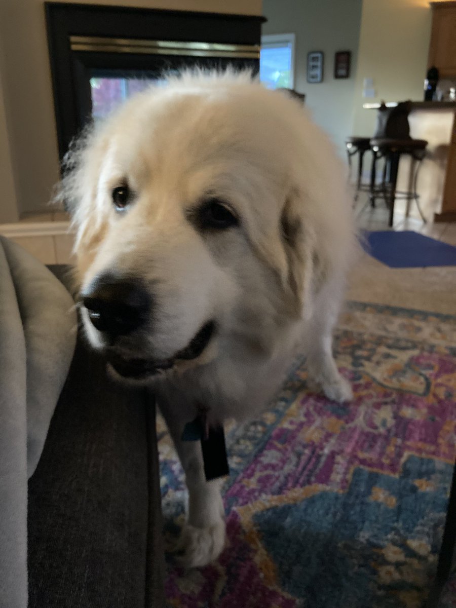 Dorothy Hughes, PhD, MHSA tweet media