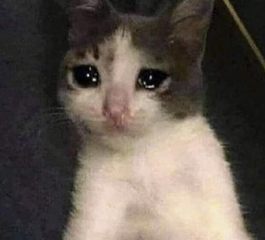 Sale Corcho    //     Sale Ocampo