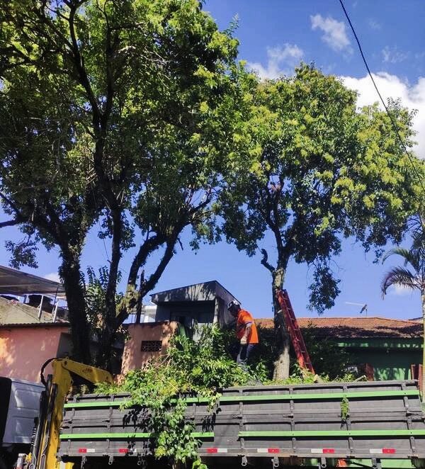 subitaim's tweet photo. OLHA A PODA AÍ! 🔛🌳👷🏻‍♂️👷🏾‍♀️
Desta vez, os trabalhos foram realizados nos seguintes locais:
📍 Rua Cachoeira Mangaval – Vila Itaim
📍 Rua Luiz Nardim – Jardim Santo Elias
📍 Rua Jardineira – Vila Curuçá Velha
#podadeárvore #subitaimpaulista #zeladoria #zonaleste https://t.co/PuKhUenYja